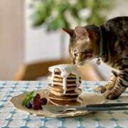 吉野 ひより 🌸ありがとうございました🌸 千葉Grand Mrs.