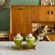 吉野 ひより 🌸ありがとうございました🌸 千葉Grand Mrs.