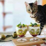 ヒメ日記 2026/03/12 08:39 投稿 吉野 ひより 千葉Grand Mrs.