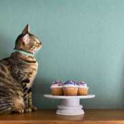 ヒメ日記 2026/03/14 06:44 投稿 吉野 ひより 千葉Grand Mrs.