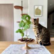 ヒメ日記 2026/03/15 06:23 投稿 吉野 ひより 千葉Grand Mrs.