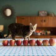 ヒメ日記 2026/03/16 06:36 投稿 吉野 ひより 千葉Grand Mrs.