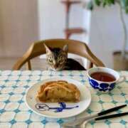 ヒメ日記 2026/03/19 06:43 投稿 吉野 ひより 千葉Grand Mrs.