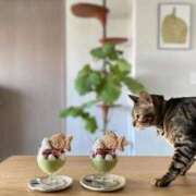 ヒメ日記 2026/03/22 06:38 投稿 吉野 ひより 千葉Grand Mrs.