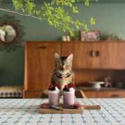 ヒメ日記 2026/03/23 05:48 投稿 吉野 ひより 千葉Grand Mrs.