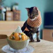 ヒメ日記 2026/03/25 03:04 投稿 吉野 ひより 千葉Grand Mrs.