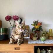 ヒメ日記 2026/03/26 07:51 投稿 吉野 ひより 千葉Grand Mrs.