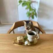 ヒメ日記 2026/04/01 06:16 投稿 吉野 ひより 千葉Grand Mrs.