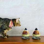 ヒメ日記 2026/04/02 05:24 投稿 吉野 ひより 千葉Grand Mrs.