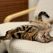 吉野 ひより 🌸ありがとうございました🌸 千葉Grand Mrs.