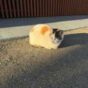 ヒメ日記 2025/08/27 21:23 投稿 あや しろうと娘　本店