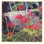 ヒメ日記 2025/10/04 06:56 投稿 りおな ハピネス東京 吉原店