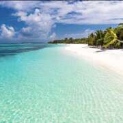 ヒメ日記 2025/07/21 19:46 投稿 徳山ゆら 五十路マダム 徳島店