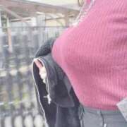 ヒメ日記 2025/11/12 06:55 投稿 ゆりな ぷるるんギャング