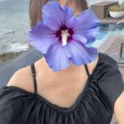 ヒメ日記 2025/09/05 10:35 投稿 穂坂あき セカンドパートナー