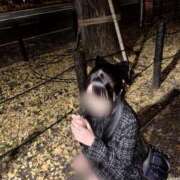 ヒメ日記 2025/11/19 11:20 投稿 つき 渋谷とある風俗店♡やりすぎコレクション