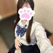 ヒメ日記 2025/08/10 11:37 投稿 きらり 秋葉原ハンドメイド