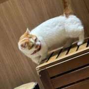 ヒメ日記 2025/09/18 16:21 投稿 チカ 千葉美女革命