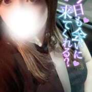 ヒメ日記 2025/11/20 20:58 投稿 ひかる 福岡ちゃんこ大牟田店