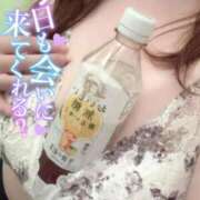 ひかる 昨日の相棒は... 福岡ちゃんこ大牟田店