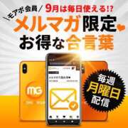 ヒメ日記 2025/09/15 09:48 投稿 かおる 水戸人妻花壇