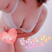 ヒメ日記 2025/11/03 12:07 投稿 かおる 水戸人妻花壇