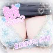 ヒメ日記 2025/11/08 13:53 投稿 かおる 水戸人妻花壇