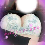 ヒメ日記 2025/11/10 07:00 投稿 かおる 水戸人妻花壇