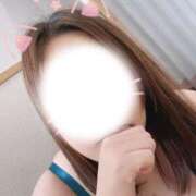 ヒメ日記 2026/07/30 00:00 投稿 かおる 水戸人妻花壇