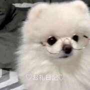 ヒメ日記 2025/08/03 13:40 投稿 くるみ 新宿本店 ぽちゃカワ女子専門店