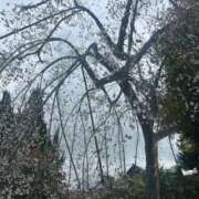 ヒメ日記 2025/11/01 17:03 投稿 くるみ 新宿本店 ぽちゃカワ女子専門店