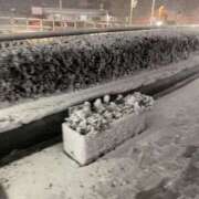 ヒメ日記 2026/03/10 18:39 投稿 しいな ミルクハート（ユメオト）