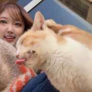 ヒメ日記 2025/11/11 17:11 投稿 さき ノーブラで誘惑する奥さん谷九・日本橋