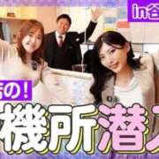 ヒメ日記 2026/01/11 10:55 投稿 さき ノーブラで誘惑する奥さん谷九・日本橋