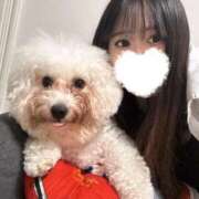 ヒメ日記 2025/08/23 21:25 投稿 りん ノーブラで誘惑する奥さん谷九・日本橋