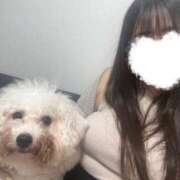 ヒメ日記 2025/09/16 12:25 投稿 りん ノーブラで誘惑する奥さん谷九・日本橋