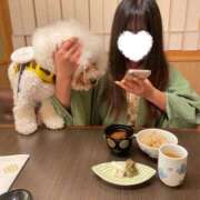 ヒメ日記 2025/09/20 10:19 投稿 りん ノーブラで誘惑する奥さん谷九・日本橋