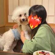 ヒメ日記 2025/09/24 19:35 投稿 りん ノーブラで誘惑する奥さん谷九・日本橋