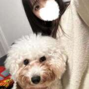 ヒメ日記 2025/09/26 02:05 投稿 りん ノーブラで誘惑する奥さん谷九・日本橋