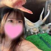 ヒメ日記 2025/10/10 17:20 投稿 りん ノーブラで誘惑する奥さん谷九・日本橋