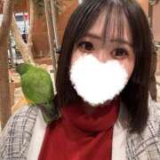 ヒメ日記 2025/10/30 18:45 投稿 りん ノーブラで誘惑する奥さん谷九・日本橋