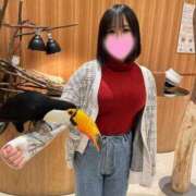 ヒメ日記 2025/11/02 11:47 投稿 りん ノーブラで誘惑する奥さん谷九・日本橋