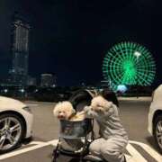 ヒメ日記 2025/11/04 11:55 投稿 りん ノーブラで誘惑する奥さん谷九・日本橋