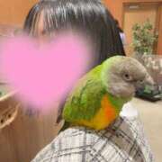 ヒメ日記 2025/11/05 13:01 投稿 りん ノーブラで誘惑する奥さん谷九・日本橋