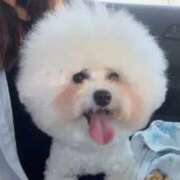 ヒメ日記 2025/12/08 10:20 投稿 りん ノーブラで誘惑する奥さん谷九・日本橋