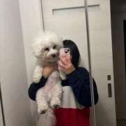 ヒメ日記 2025/12/09 08:35 投稿 りん ノーブラで誘惑する奥さん谷九・日本橋