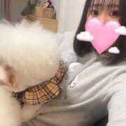 ヒメ日記 2026/01/22 10:38 投稿 りん ノーブラで誘惑する奥さん谷九・日本橋