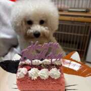 ヒメ日記 2026/02/10 17:35 投稿 りん ノーブラで誘惑する奥さん谷九・日本橋