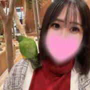 ヒメ日記 2026/03/23 13:28 投稿 りん ノーブラで誘惑する奥さん谷九・日本橋