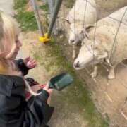 ヒメ日記 2026/03/26 18:19 投稿 りな ノーブラで誘惑する奥さん谷九・日本橋